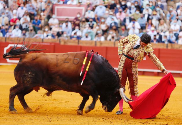 Morante de la Puebla en un estimable natural al primer toro de la tarde Morante de la Puebla en un estimable natural al primer toro de la tarde