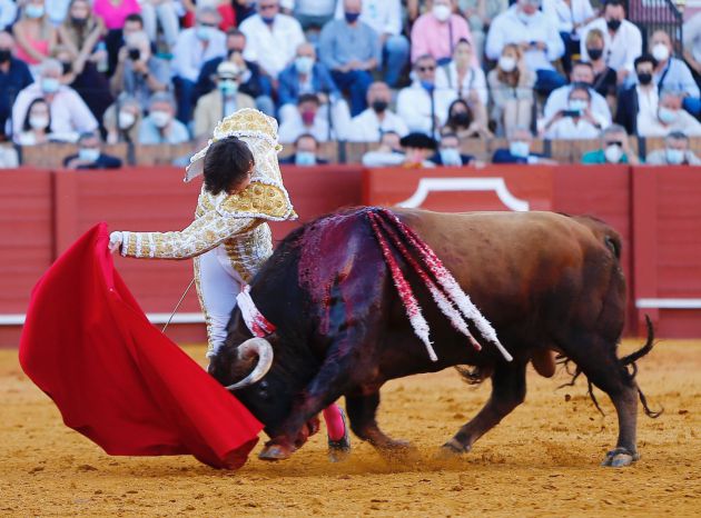 Roca Rey ante el primer toro de su lote este sábado en la Maestranza Roca Rey ante el primer toro de su lote este sábado en la Maestranza