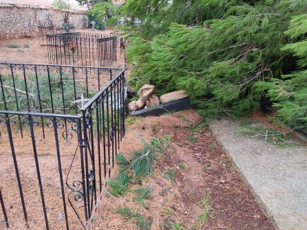 Los daños en Viveros también afectaron al cementerio municipal Los daños en Viveros también afectaron al cementerio municipal