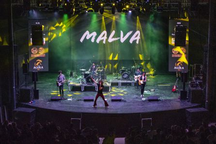 Malva Malva