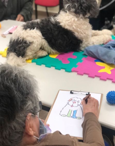 Antolina colorea al perro en una de las actividades de la terapia. Antolina colorea al perro en una de las actividades de la terapia.