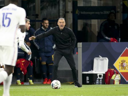 Luis Enrique durante el partido ante Francia Luis Enrique durante el partido ante Francia