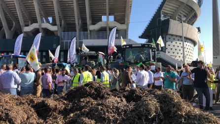Agricultores y ganaderos junto al Estadio Benito Villamarín Agricultores y ganaderos junto al Estadio Benito Villamarín