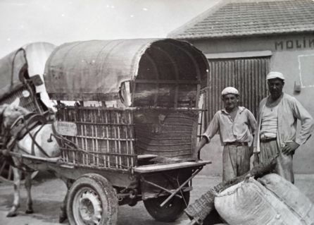 -Año 1960. Miguel Madrid con 15 años, junto a su padre, cargando el carro con sacos de harina, para repartirla y venderla por las poblaciones de la zona oeste de Cartagena. Siempre llevaban en la cabeza un pañuelo moquero de tela limpio y "amarrao" con cuatro nudos. -Año 1960. Miguel Madrid con 15 años, junto a su padre, cargando el carro con sacos de harina, para repartirla y venderla por las poblaciones de la zona oeste de Cartagena. Siempre llevaban en la cabeza un pañuelo moquero de tela limpio y "amarrao" con cuatro nudos.