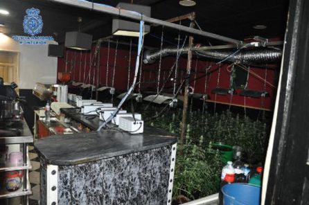 Infraestructura para el cultivo de la droga Infraestructura para el cultivo de la droga