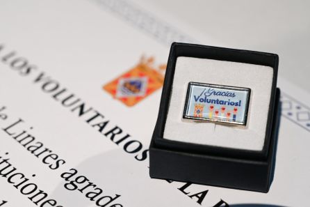 Insignia para los voluntarios de la pandemia de Linares. Insignia para los voluntarios de la pandemia de Linares.