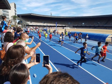 Imagen Carrera Popular de Jerez Imagen Carrera Popular de Jerez