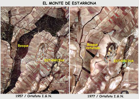 El monte Estarrona 1957 y 1977 El monte Estarrona 1957 y 1977