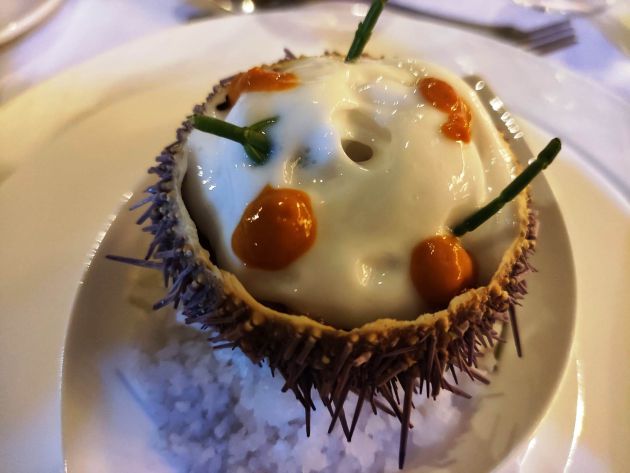 Erizo de mar relleno de su coral y espuma marina Erizo de mar relleno de su coral y espuma marina