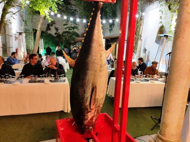 Ronqueo de Atún Oro en Las Cuadras con Bodegas Yuste Ronqueo de Atún Oro en Las Cuadras con Bodegas Yuste