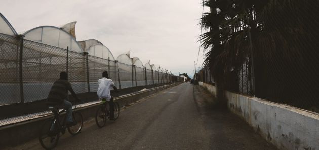 Las bicicletas de Cuenca en uso por los trabajadores de Níjar. Las bicicletas de Cuenca en uso por los trabajadores de Níjar.