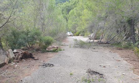 Rocas sobre el camino de acceso al Molló de la Creu Rocas sobre el camino de acceso al Molló de la Creu