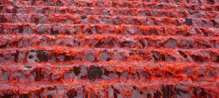 Encuentran un yacimiento de tomate en Orlando Encuentran un yacimiento de tomate en Orlando