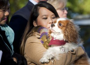 Nina Pham abraza a su perro, Betley Nina Pham abraza a su perro, Betley