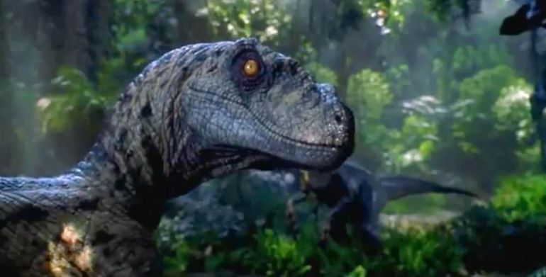 Paleontólogos descubren la nota de suicidio de los dinosaurios Paleontólogos descubren la nota de suicidio de los dinosaurios