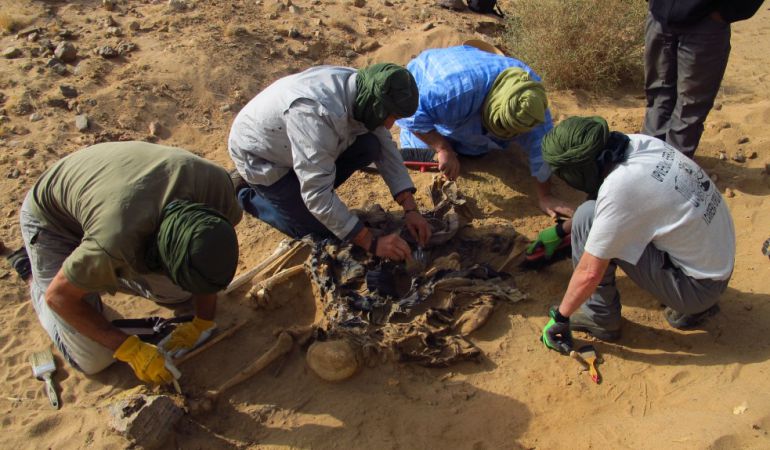 Imagen de los huesos encontrados en fosas comunes en el Sahara Imagen de los huesos encontrados en fosas comunes en el Sahara