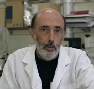 El forense Paco Etxeberría El forense Paco Etxeberría