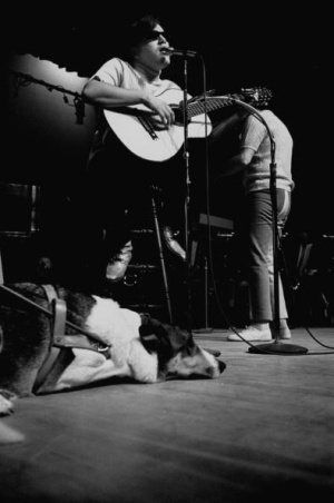 El no sin mi perro de José Feliciano El no sin mi perro de José Feliciano