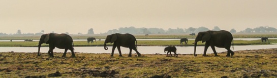 Los parques salvajes de África del sur Los parques salvajes de África del sur