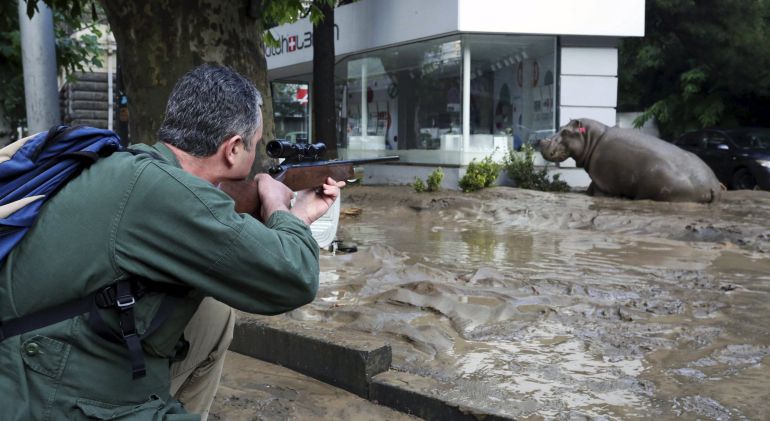 Mueren diez personas y escapan las fieras del zoológico de Tiflis Mueren diez personas y escapan las fieras del zoológico de Tiflis
