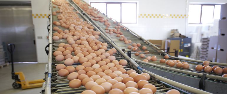 El incremento del precio de los huevos en la Guía del Consumidor con Jesús Soria. El incremento del precio de los huevos en la Guía del Consumidor con Jesús Soria.