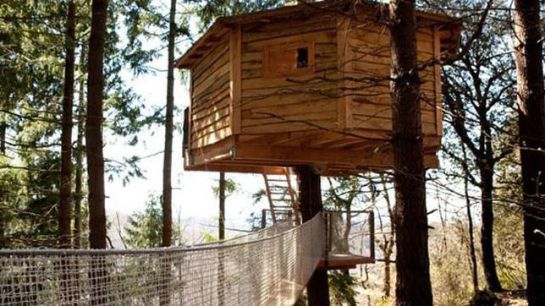 Fuente: Cabañas en el árbol Fuente: Cabañas en el árbol