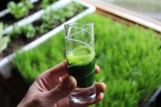 ¿Qué es un 'nutricoach'? ¿Qué es un 'nutricoach'?