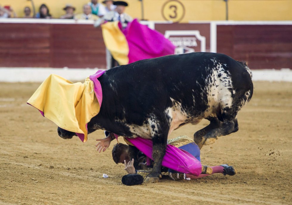 Francisco Rivera Ordóñez 'Paquirri' sufrió una cogida por el cuarto toro de la tarde. Francisco Rivera Ordóñez 'Paquirri' sufrió una cogida por el cuarto toro de la tarde.
