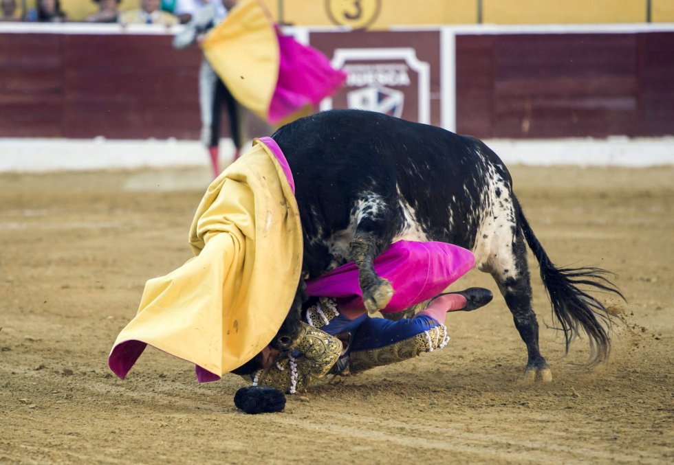 La cornada entró entre la zona del pubis hacia la ingle derecha, atravesándole en un trayecto de 25 centímetros. La cornada entró entre la zona del pubis hacia la ingle derecha, atravesándole en un trayecto de 25 centímetros.