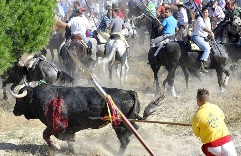 ¿Tortura como tradición? ¿Tortura como tradición?