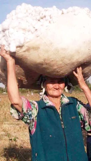 Los esclavos del algodón del SXXI Los esclavos del algodón del SXXI