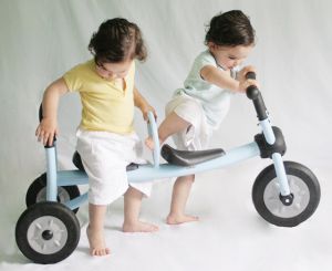 De dos en dos: parecidos pero no iguales De dos en dos: parecidos pero no iguales