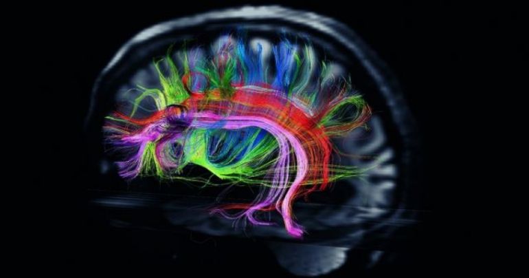 Los misterios de la mente Los misterios de la mente