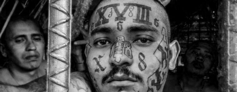Las maras quieren Paz Las maras quieren Paz
