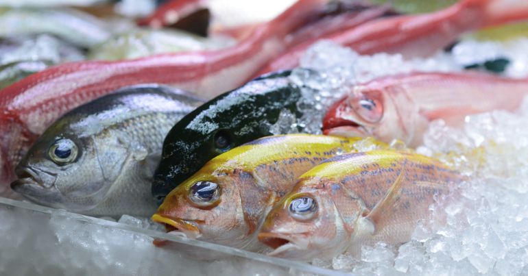 como comprar pescado: Beneficios del pescado y cómo comprarlo como comprar pescado: Beneficios del pescado y cómo comprarlo