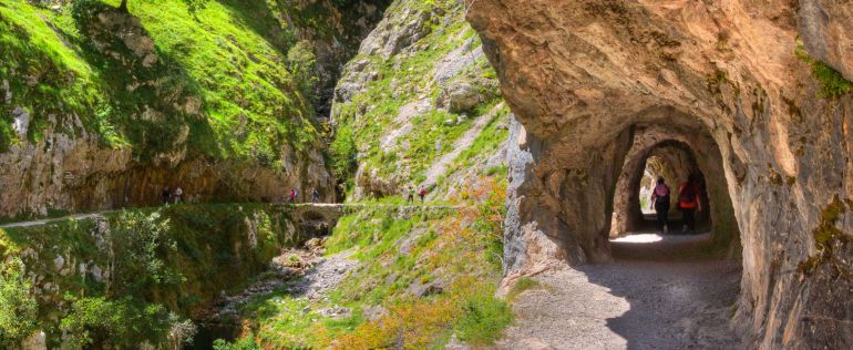 http://cadenaser.com/buscador/?qt=running&sf=1&np=1&bu=cadenaser&of=html: Fallece un miembro de la organización de la carrera de montaña 'El Cainejo' http://cadenaser.com/buscador/?qt=running&sf=1&np=1&bu=cadenaser&of=html: Fallece un miembro de la organización de la carrera de montaña 'El Cainejo'