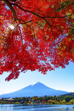 El Monte Fuji, en otoño. El Monte Fuji, en otoño.