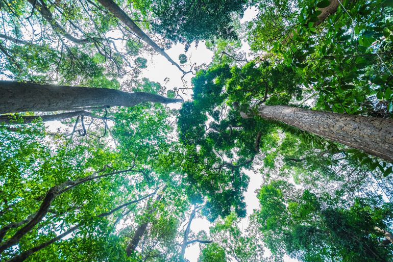 Esteban Beltrán: “Con el aumento de la conciencia medioambiental, ha aumentado la represión” Esteban Beltrán: “Con el aumento de la conciencia medioambiental, ha aumentado la represión”