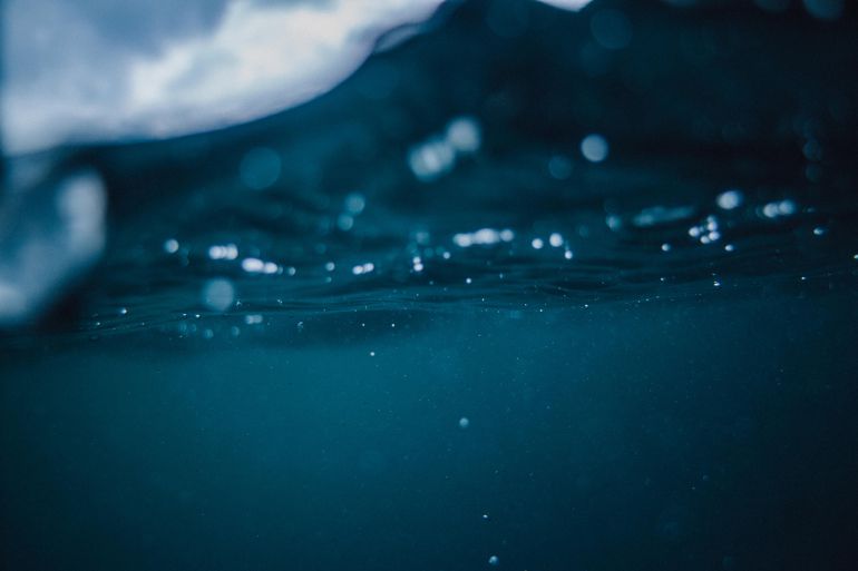 Algo se esconde bajo el agua. Algo se esconde bajo el agua.