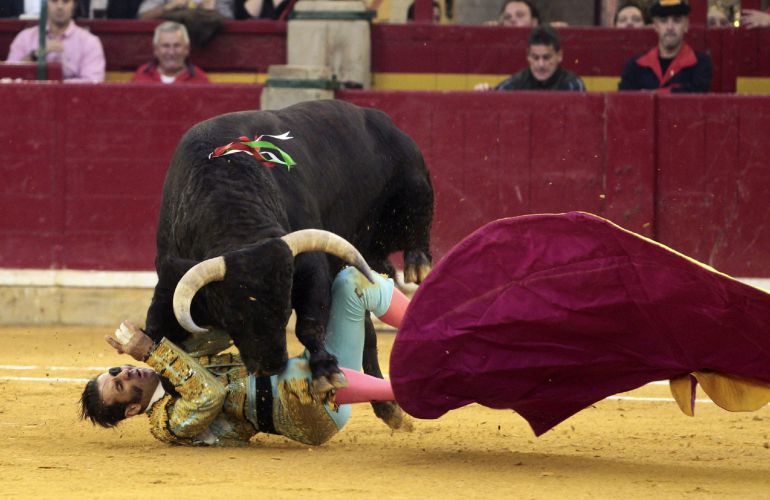 El diestro Juan José Padilla es cogido en la faena a su primer toro, de la ganadería Núñez del Cuvillo, durante la corrida de la Feria del Pilar de Zaragoza. El diestro Juan José Padilla es cogido en la faena a su primer toro, de la ganadería Núñez del Cuvillo, durante la corrida de la Feria del Pilar de Zaragoza.
