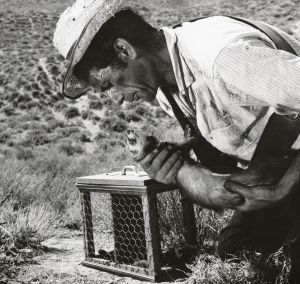 50 años de una cacería clave en la historia del cine español 50 años de una cacería clave en la historia del cine español