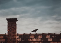 ‘Lo que viene de arriba’