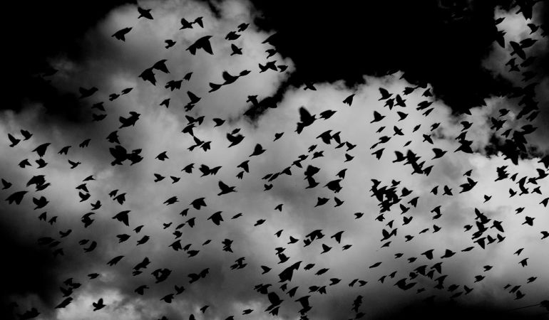 El cielo se cubre de miedo. El cielo se cubre de miedo.