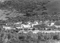 A sangre fría