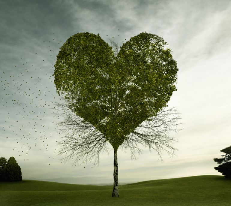 10 pautas para el amor más "ecológico" | SER Consumidor | Cadena SER