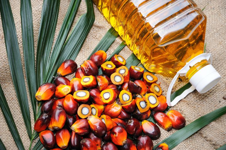 "El aceite de palma es tóxico para nuestros genes"