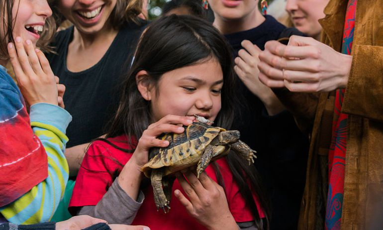 Mi hijo quiere una tortuga Mi hijo quiere una tortuga