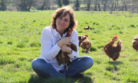 Las gallinas de los huevos de oro Las gallinas de los huevos de oro