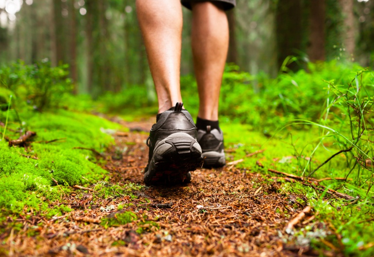 Caminar no es sólo andar Caminar no es sólo andar
