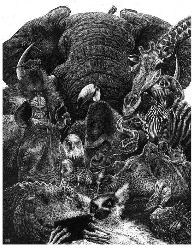 El animal ilustrado y el cambio climático El animal ilustrado y el cambio climático